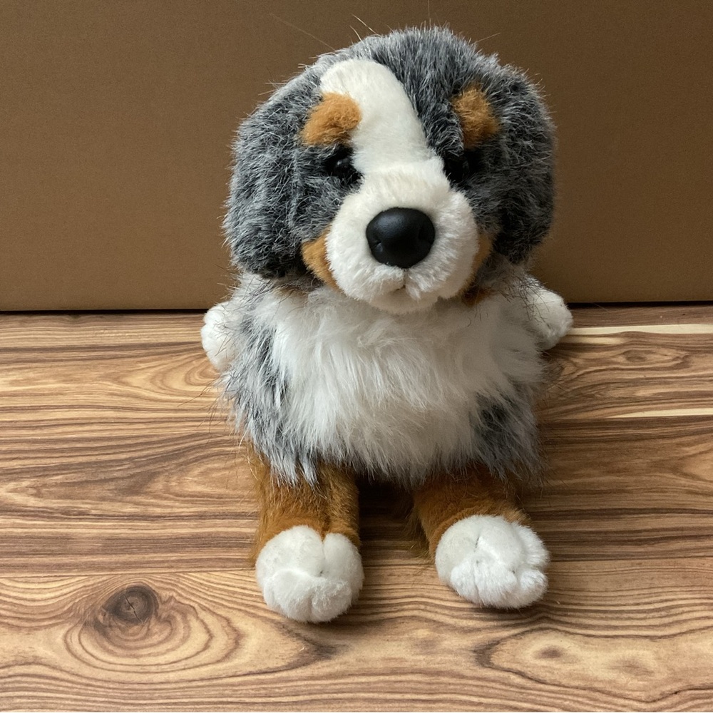 Douglas australian shepherd "Sinclair" 16"